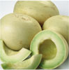 Honeydew