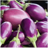 Eggplant