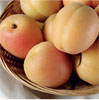 Apricots